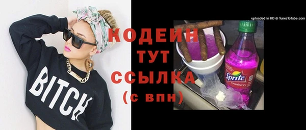 прущие грибы Кулебаки