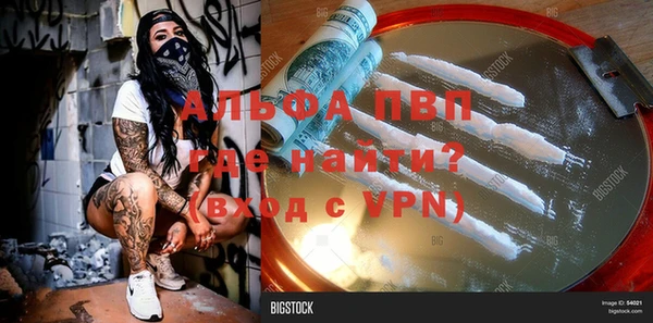 прущие грибы Кулебаки