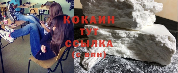 прущие грибы Кулебаки