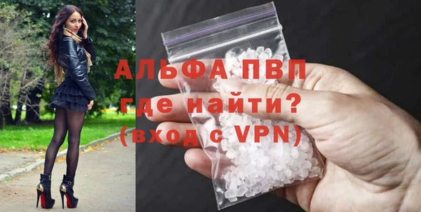 прущие грибы Кулебаки