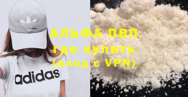 прущие грибы Кулебаки